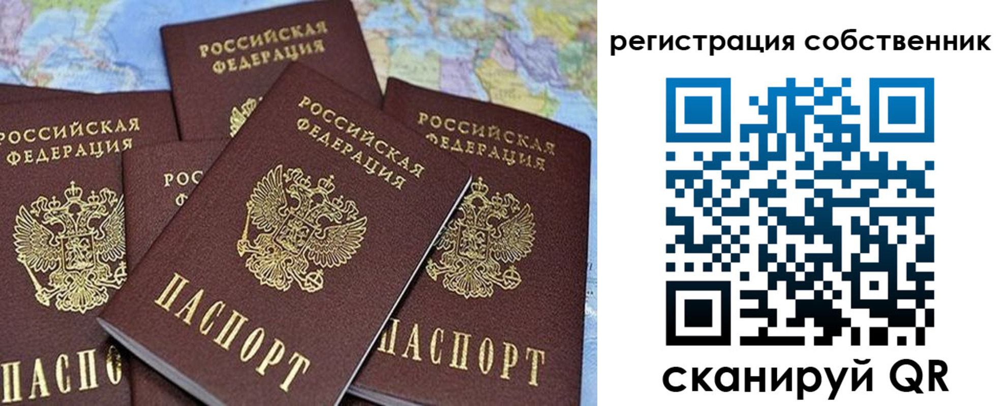 прописка для школы в Тимашёвске